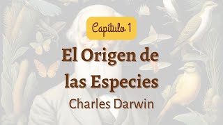 El Origen de las Especies  Capítulo 1  Parte 3  Audiolibro [upl. by Tindall609]