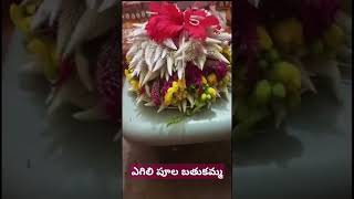 Engili pula bathukammaNRCreations vlogs telugu kopuloni puvvama song [upl. by Anialem]