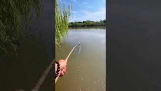 fishing using a drink bottle float fishing shorts [upl. by Georgina]