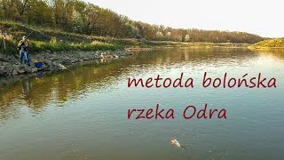 Metoda bolońska na rzece Odrze Cz 7 [upl. by Mame]