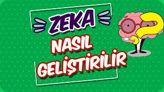 Zeka Nasıl Geliştirilir Bilimsel Teknikler [upl. by Hafeetal702]