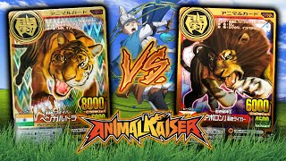 Bengal Tiger vs Apollo  Tiger vs Liger  Animal Kaiser [upl. by Torres]