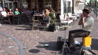 Herbie Blues op de Markt in Blokzijl [upl. by Markland]