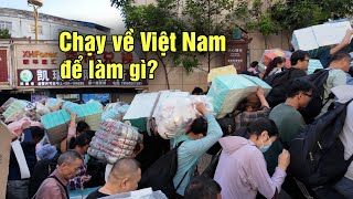 Tiểu thương Trung Quốc chen lấn đổ xô sang Việt Nam từ sớm để làm gì [upl. by Tatianas912]