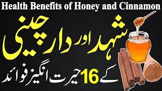 Darhini Aur Shahd Ke Fawaid  Health Benefits of Cinnamon and Honey  Dalchini Aur Shahad Ke Fayde [upl. by Rodrick]