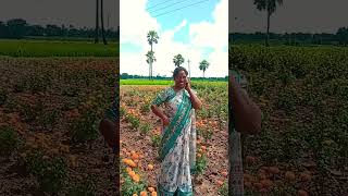 Neeku Banthi Poola Meda kattana like 👍subscribe 😍 [upl. by Einattirb486]