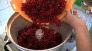 Johannisbeeren  Saft oder Gelee [upl. by Eniowtna]