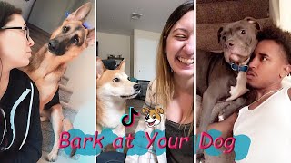 Bark at Your Dog Challenge 😂 TikTok Compilation 2023 1 [upl. by Ahseyt968]