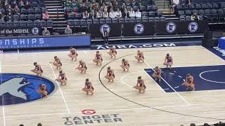 Wayzata Dance Team 2022  STATE Jazz [upl. by Bernstein]