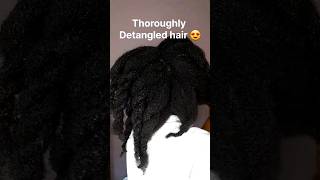 IS DETANGLING THE SECRET TO LONG HAIR 4chair 4cnaturalhaircare hairstyles detangling type4 [upl. by Darrel321]