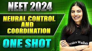 NEURAL CONTROL AND COORDINATION in 1 Shot FULL CHAPTER ConceptsPYQs  Prachand NEET [upl. by Naujed]