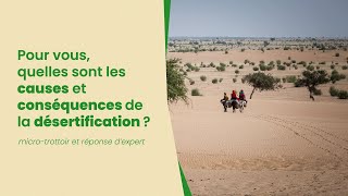 Pour vous quelles sont les causes et conséquences de la désertification [upl. by Ojillib]