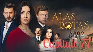 Alas Rotas  Capitulo 77  Audio español [upl. by Scammon]