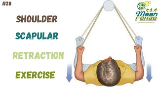 Scapular Strengthening with Theraband  Shoulder Scapular Retraction Exercise [upl. by Venetia]