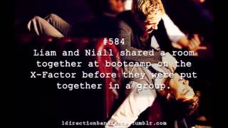 Niam and Ziall Facts [upl. by Llevrac]