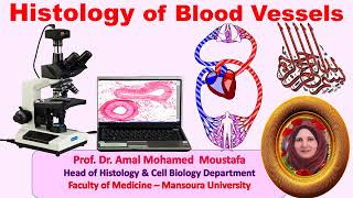 Histology of blood vessels Prof Dr Amal Mohamed Moustafa [upl. by Ardnasela]