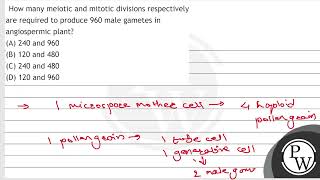 How many meiotic and mitotic divisions respectively are required to produce 960 male gametes in [upl. by Anelrahc]