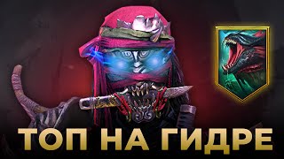 Raid Shadow Legends  Онрё Иэясу уничтожает Гидру [upl. by Redliw]