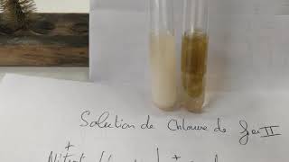 Détection des ions  Chlorure de fer II nitrate dargent soude [upl. by Eniluqcaj]