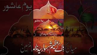 10 Maharam ka din thahistory Karbala Hazrat Imami hussian shortsviral [upl. by Eetnuahs906]