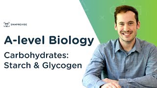 Carbohydrates Starch and Glycogen  Alevel Biology  OCR AQA Edexcel [upl. by Azile780]