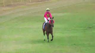 Atherton 20241123 Race 5 [upl. by Ruthven]