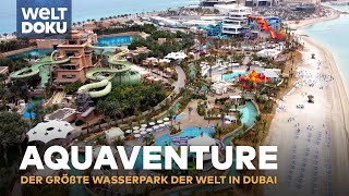 AQUAVENTURE  Der größte Wasserpark der Welt in Dubai  HD Doku [upl. by Sanjay]