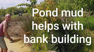 Pond mud helps with bank building permaculture landscaping ponds fitnessmotivation exercise [upl. by Wivinah436]