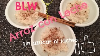 BLW receta  Arroz con leche  Sin azúcar ni lácteos  Recetas By Fany [upl. by Darla943]