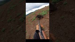 Охота на дикого кабана на очень близком расстоянии cinghiale chasse wildboar охота дикий кабан [upl. by Nirek]