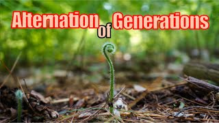 On Alternation of Generations [upl. by Talie]