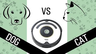 iRobot Roomba 670 vs Dogs and Cats [upl. by Miguelita846]