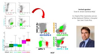 40 years of MRD A review of flow cytometry as an advanced technique for BALL monitoring [upl. by Edina]