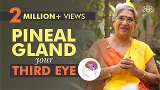 Take Care of your Pineal Gland by doing this  Dr Hansaji Yogendra [upl. by Ailama]