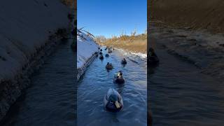 🦆 Picking green from tiny warm water with subgauges should be on every waterfowlers bucket list [upl. by Kcirrez]