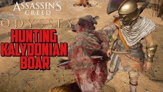 How to Defeat the Calydonian Boar in Assassin’s Creed Odyssey [upl. by Aeki]