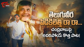 Special Song on Nara Chandrababu Naidu  TDP NEW SONG 2024  TOne News [upl. by Hamlin336]