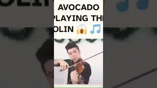 avocado playing the violin omg animan studios ballin song [upl. by Notsniw479]