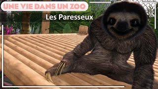 Le VIVARIUM visitable pour PARESSEUX  EPISODE 47  PLANET ZOO  Franchise [upl. by Nagaer935]