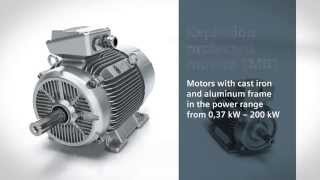 SIMOTICS XP  Exmotors 1MB1 [upl. by Barboza861]