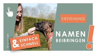 Online Hundeschule Dein Hund hört nicht auf dich  Namenstraining  Hund Namen beibringen [upl. by Cynara790]