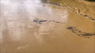 Hurricane Helene Flooded Yadkin River Elkin Jonesville North Carolina [upl. by Harday]