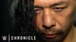 WWE CHRONICLE SHINSUKE NAKAMURA  Episode 1 [upl. by Nauqad]