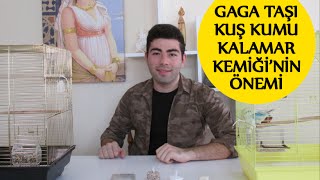 Gaga Taşı Kuş Kumu Kalamar Kemiği Ne İşe Yarar [upl. by Ameerak]