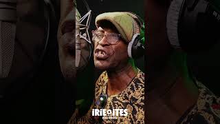 Eek A Mouse amp Irie Ites  Musical Ambassador Official video Shorts 2 [upl. by Ecarg]