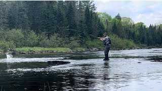 The Salmon Were Stacked Up Fly Fishing for Landlocked Salmon [upl. by Rozanne158]