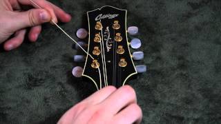 Restringing Your Mandolin WEB HD [upl. by Imaj]