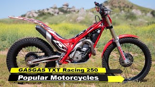 GASGAS TXT Racing 250 Popular 2024 Motorcycles [upl. by Jakob]