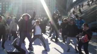 Harlem Shake Flash Mob at Millennium Park vChicago vDePaul [upl. by Guinn897]