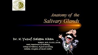 Anatomy  Salivary Glands  Parotid SubMandibular amp SubLingual  Dr Yusuf [upl. by Robet624]